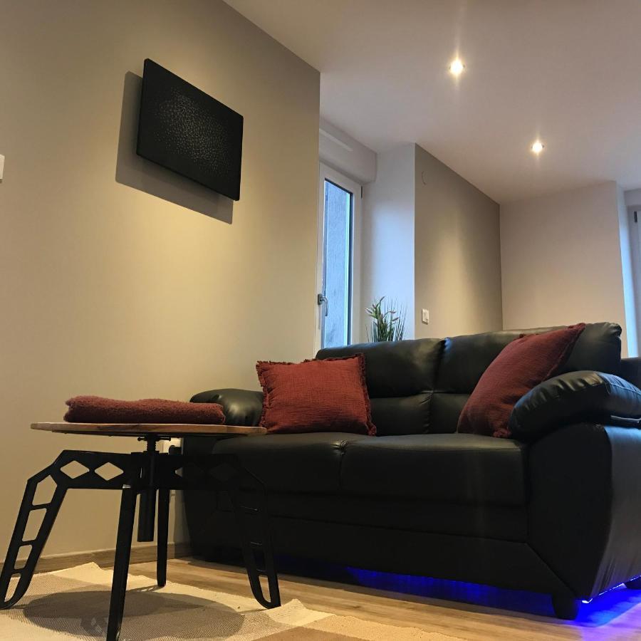 L'Andromede Apartment เอปินาล ภายนอก รูปภาพ